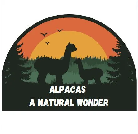 Alpacas Themed Patches